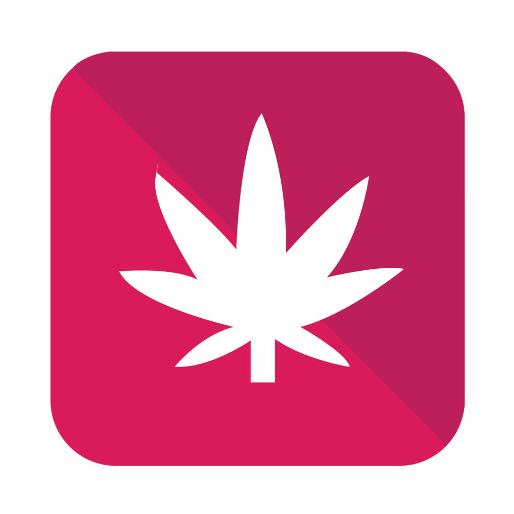 Job Profile: Cannabis Extraction Lead